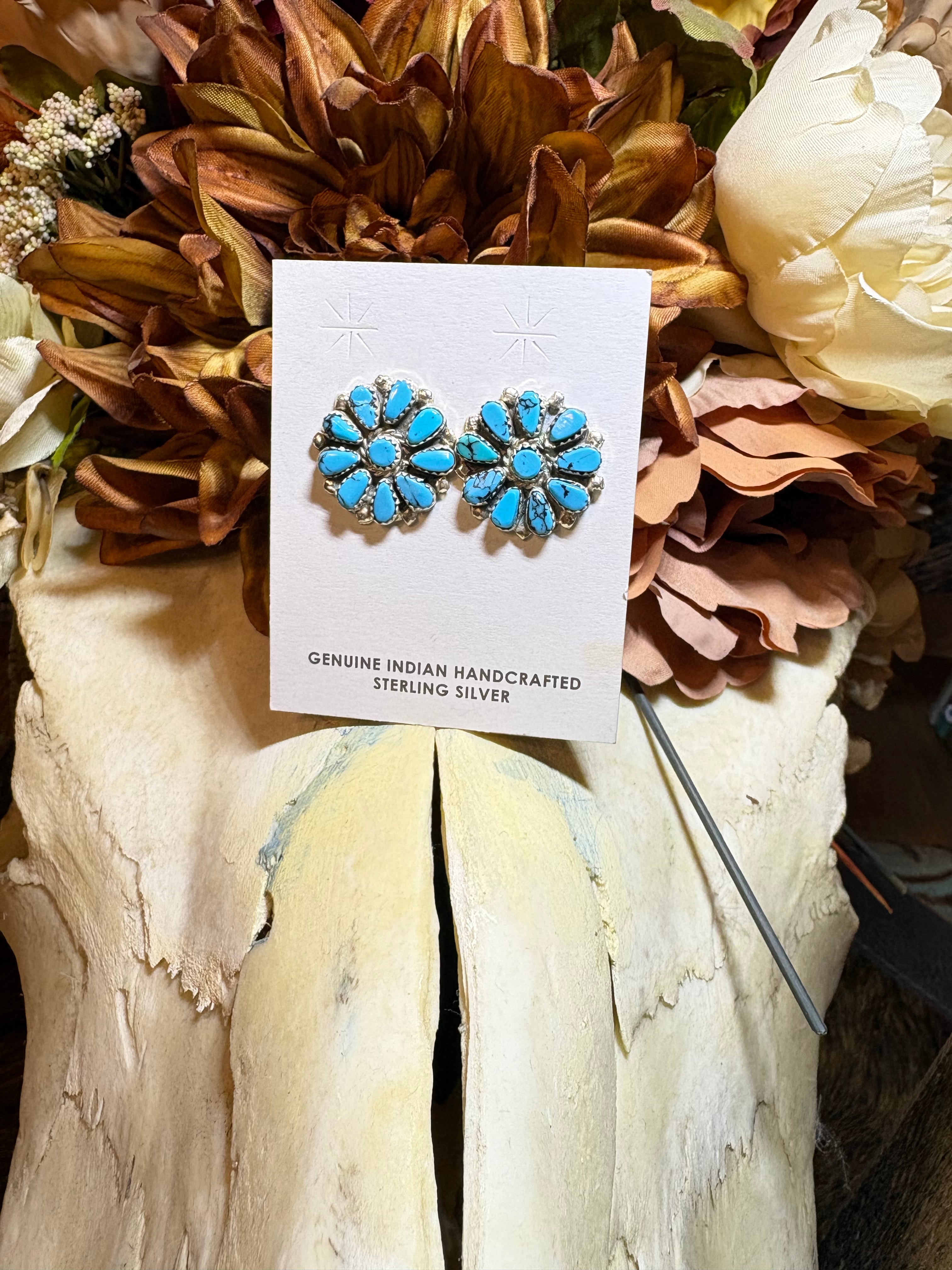 Post Earrings
